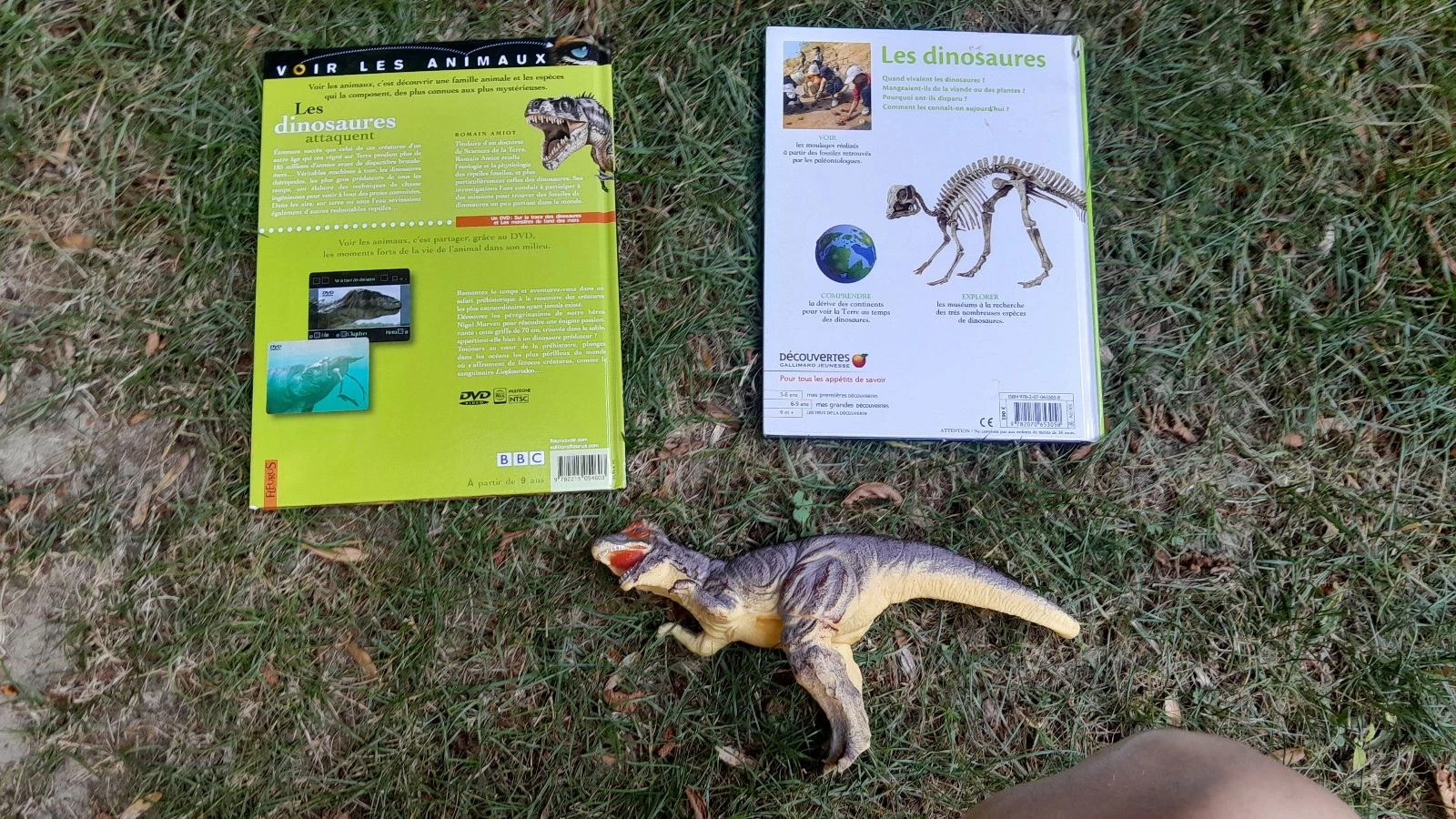 Nice dinosaur-themed set – photo 6
